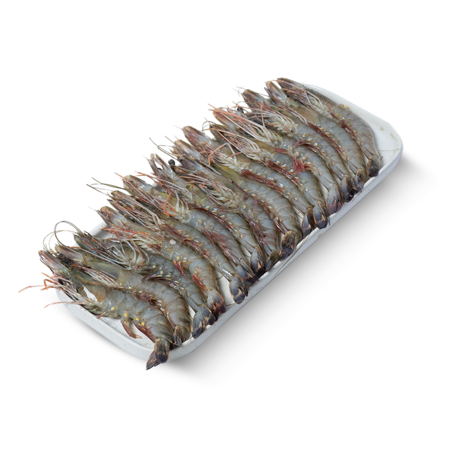 Udang ukuran sedang