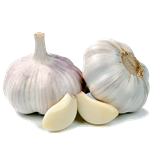 Bawang Putih Kating