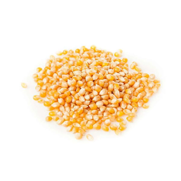 Jagung Pipil Kering