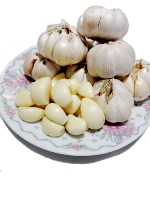 Bawang Putih Honan (Sinco)