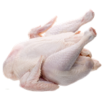 Ayam Ras/Boiler