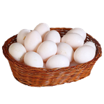 Telur Ayam Kampung