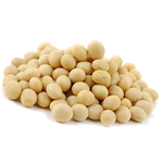 kacang kedelai Impor