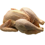 Daging Ayam Kampung