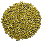 Kacang Hijau
