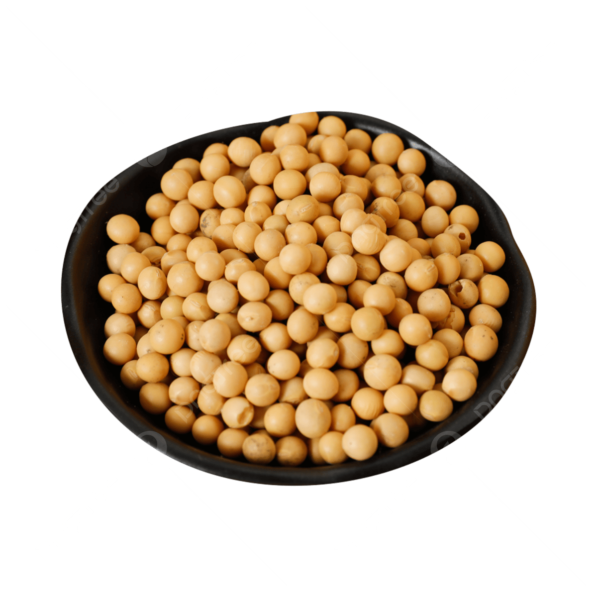 Kacang Kedelai Lokal